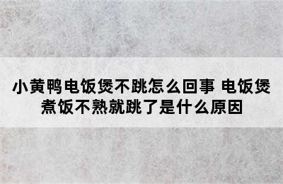 小黄鸭电饭煲不跳怎么回事 电饭煲煮饭不熟就跳了是什么原因